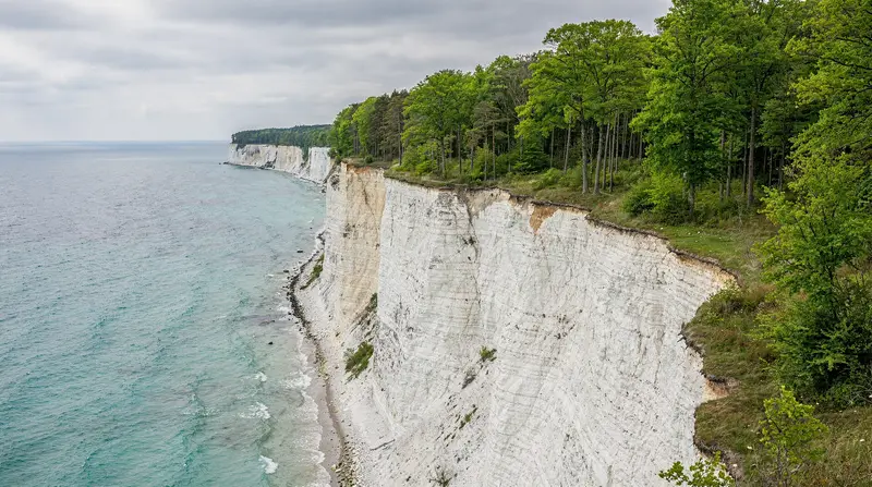 Møns Klint Day Trip from Copenhagen: White Cliffs & GeoCenter