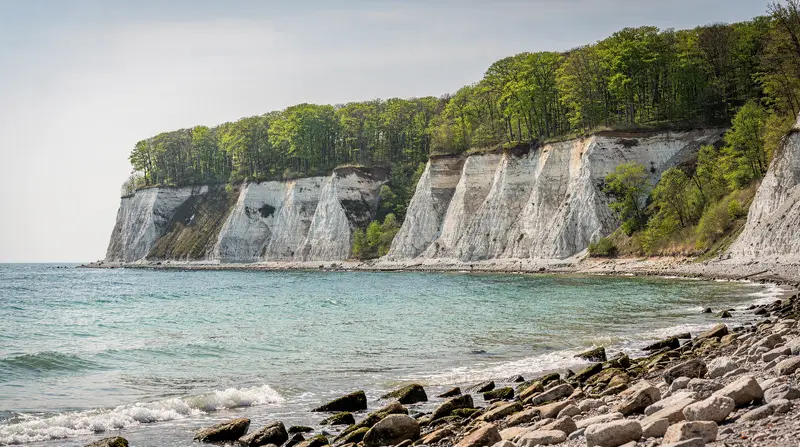 Møns Klint Day Trip from Copenhagen: Chalk Cliffs & Forest Tower — Møns Klint's chalk cliffs rise 128 m above the Baltic. 2 hours from Copenhagen b